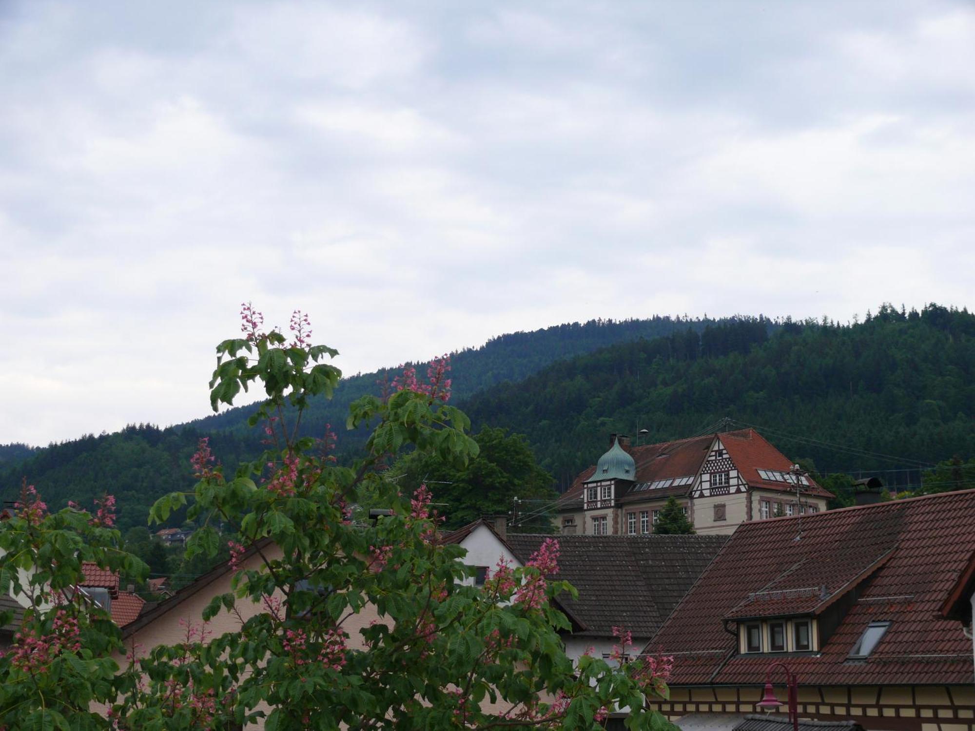 Hotel - Restaurant - Metzgerei Sonne Loffenau Szoba fotó